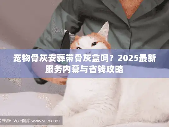 宠物骨灰安葬带骨灰盒吗？2025最新服务内幕与省钱攻略