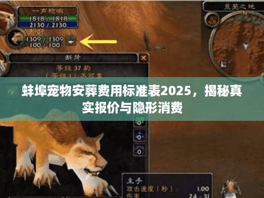 蚌埠宠物安葬费用标准表2025，揭秘真实报价与隐形消费