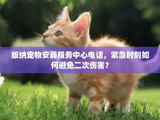 版纳宠物安葬服务中心电话，紧急时刻如何避免二次伤害？