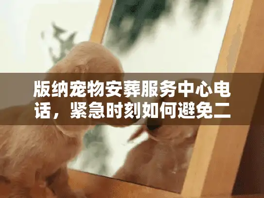 版纳宠物安葬服务中心电话，紧急时刻如何避免二次伤害？