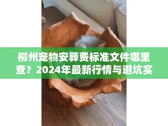柳州宠物安葬费标准文件哪里查？2024年最新行情与避坑实录