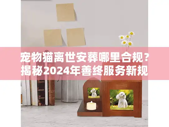 宠物猫离世安葬哪里合规?揭秘2024年善终服务新规与避坑术 宠物猫离世安葬哪里合规?揭秘2024年善终服务新规与避坑术