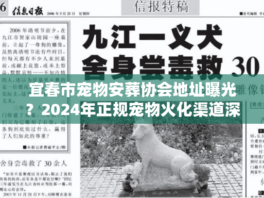 宜春市宠物安葬协会地址曝光？2024年正规宠物火化渠道深度挖掘