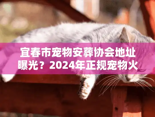 宜春市宠物安葬协会地址曝光？2024年正规宠物火化渠道深度挖掘