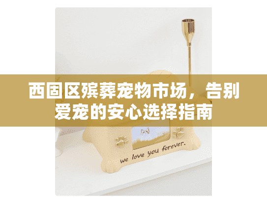 西固区殡葬宠物市场，告别爱宠的安心选择指南