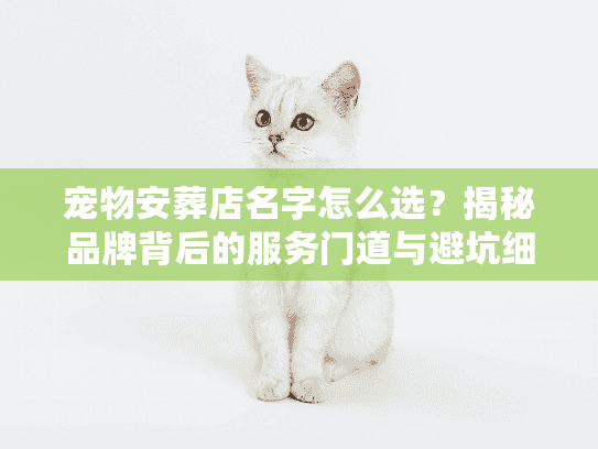 宠物安葬店名字怎么选?揭秘品牌背后的服务门道与避坑细节 宠物安葬店名字怎么选?揭秘品牌背后的服务门道与避坑细节