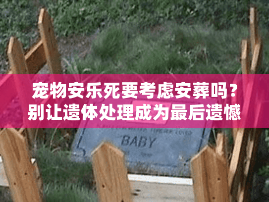 宠物安乐死要考虑安葬吗?别让遗体处理成为最后遗憾 宠物安乐死要考虑安葬吗?别让遗体处理成为最后遗憾
