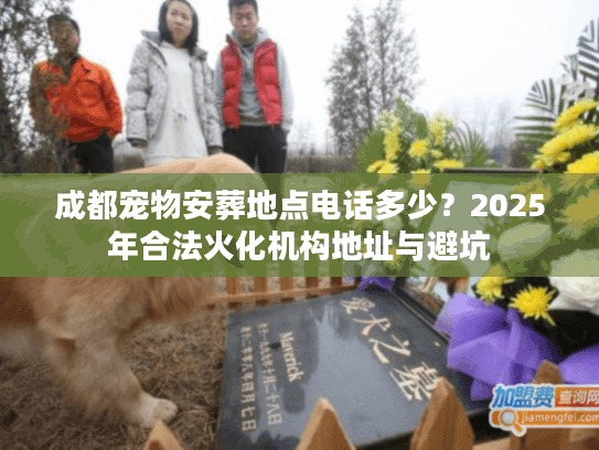 成都宠物安葬地点电话多少?2025年合法火化机构地址与避坑 成都宠物安葬地点电话多少?2025年合法火化机构地址与避坑