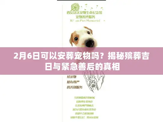 2月6日可以安葬宠物吗？揭秘殡葬吉日与紧急善后的真相