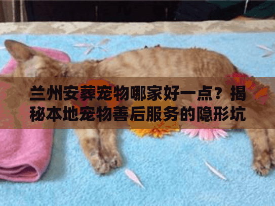 兰州安葬宠物哪家好一点?揭秘本地宠物善后服务的隐形坑 兰州安葬宠物哪家好一点?揭秘本地宠物善后服务的隐形坑