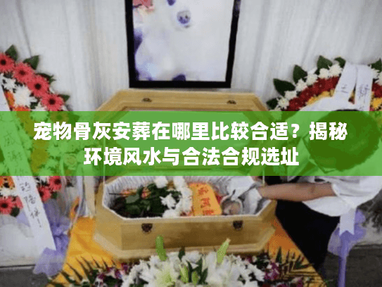 宠物骨灰安葬在哪里比较合适?揭秘环境风水与合法合规选址 宠物骨灰安葬在哪里比较合适?揭秘环境风水与合法合规选址