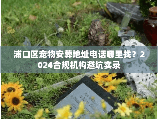 浦口区宠物安葬地址电话哪里找？2024合规机构避坑实录