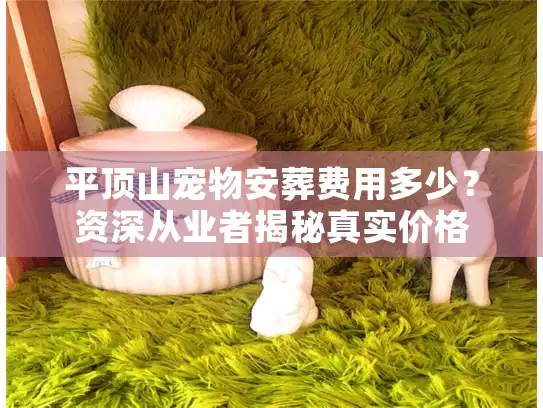 平顶山宠物安葬费用多少？资深从业者揭秘真实价格