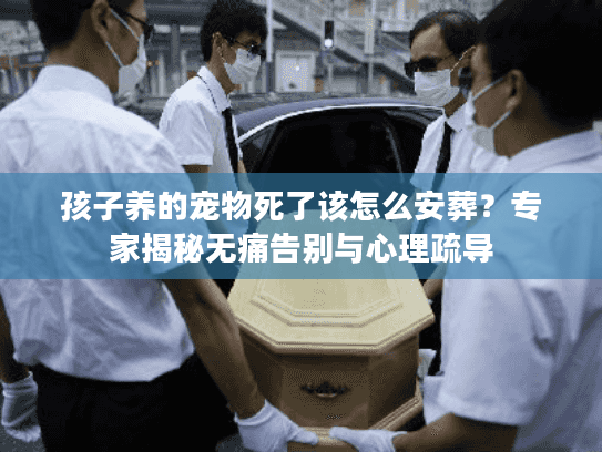 孩子养的宠物死了该怎么安葬？专家揭秘无痛告别与心理疏导