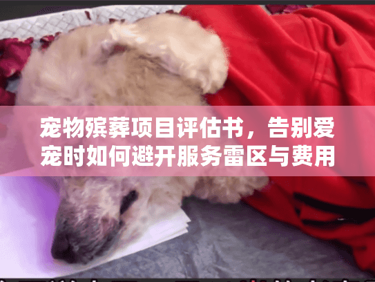 宠物殡葬项目评估书,告别爱宠时如何避开服务雷区与费用陷阱? 宠物殡葬项目评估书,告别爱宠时如何避开服务雷区与费用陷阱?
