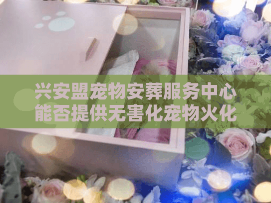 兴安盟宠物安葬服务中心能否提供无害化宠物火化及告别仪式？