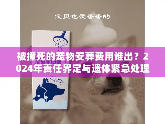 被撞死的宠物安葬费用谁出?2024年责任界定与遗体紧急处理 被撞死的宠物安葬费用谁出?2024年责任界定与遗体紧急处理