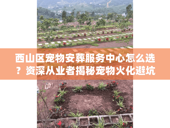 西山区宠物安葬服务中心怎么选？资深从业者揭秘宠物火化避坑内幕