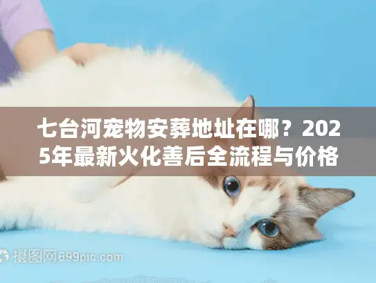 七台河宠物安葬地址在哪？2025年最新火化善后全流程与价格