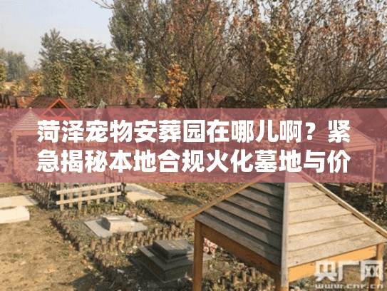 菏泽宠物安葬园在哪儿啊？紧急揭秘本地合规火化墓地与价格