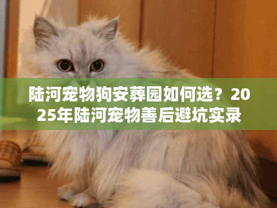 陆河宠物狗安葬园如何选？2025年陆河宠物善后避坑实录