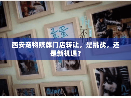 西安宠物殡葬门店转让，是挑战，还是新机遇？