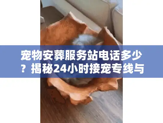 宠物安葬服务站电话多少？揭秘24小时接宠专线与避坑实战