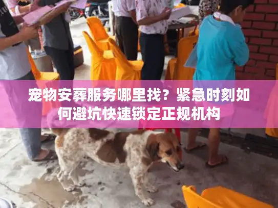 宠物安葬服务哪里找?紧急时刻如何避坑快速锁定正规机构 宠物安葬服务哪里找?紧急时刻如何避坑快速锁定正规机构