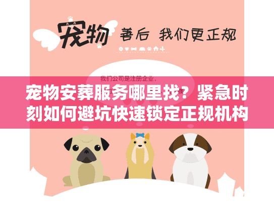 宠物安葬服务哪里找?紧急时刻如何避坑快速锁定正规机构 宠物安葬服务哪里找?紧急时刻如何避坑快速锁定正规机构