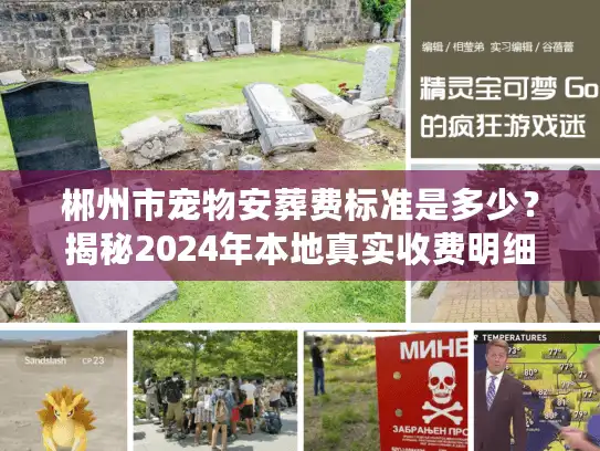 郴州市宠物安葬费标准是多少？揭秘2024年本地真实收费明细