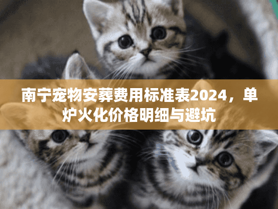 南宁宠物安葬费用标准表2024，单炉火化价格明细与避坑
