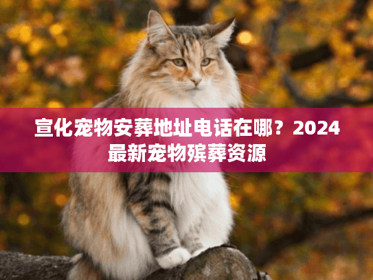 宣化宠物安葬地址电话在哪？2024最新宠物殡葬资源