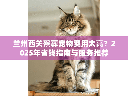 兰州西关殡葬宠物费用太高?2025年省钱指南与服务推荐 兰州西关殡葬宠物费用太高?2025年省钱指南与服务推荐