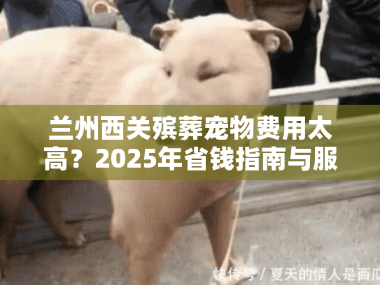 兰州西关殡葬宠物费用太高?2025年省钱指南与服务推荐 兰州西关殡葬宠物费用太高?2025年省钱指南与服务推荐