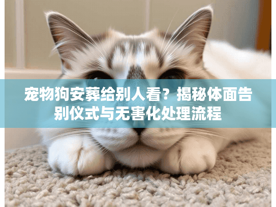 宠物狗安葬给别人看？揭秘体面告别仪式与无害化处理流程