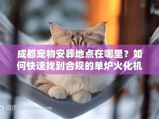 成都宠物安葬地点在哪里？如何快速找到合规的单炉火化机构