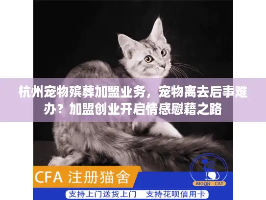 杭州宠物殡葬加盟业务，宠物离去后事难办？加盟创业开启情感慰藉之路