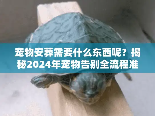 宠物安葬需要什么东西呢？揭秘2024年宠物告别全流程准备