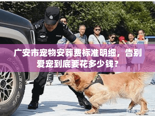 广安市宠物安葬费标准明细,告别爱宠到底要花多少钱? 广安市宠物安葬费标准明细,告别爱宠到底要花多少钱?