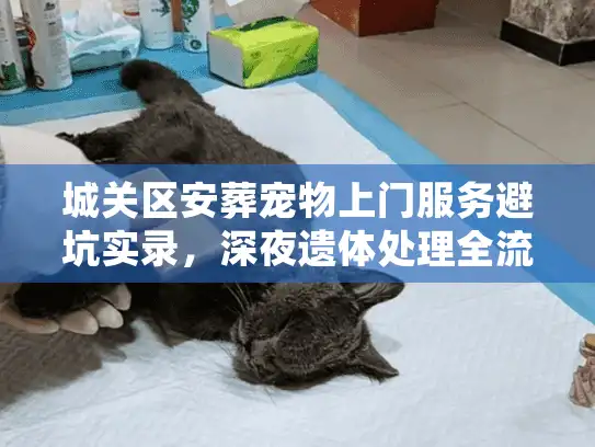 城关区安葬宠物上门服务避坑实录，深夜遗体处理全流程