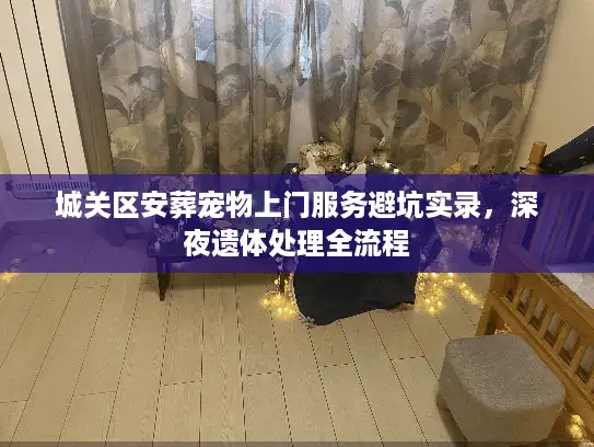 城关区安葬宠物上门服务避坑实录，深夜遗体处理全流程