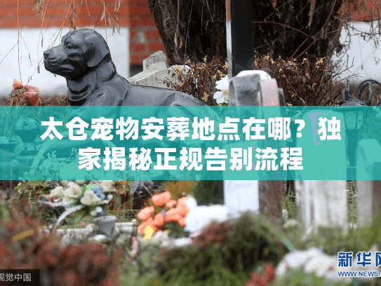 太仓宠物安葬地点在哪？独家揭秘正规告别流程