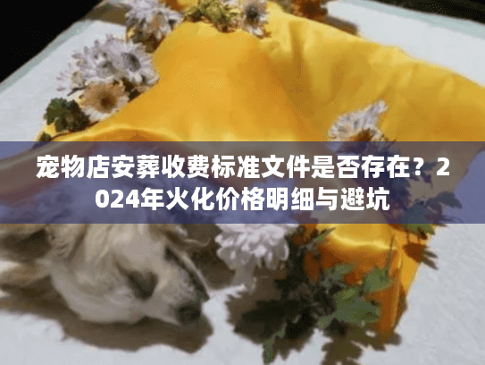 宠物店安葬收费标准文件是否存在？2024年火化价格明细与避坑