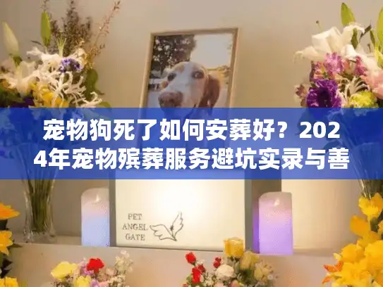 宠物狗死了如何安葬好？2024年宠物殡葬服务避坑实录与善终方案