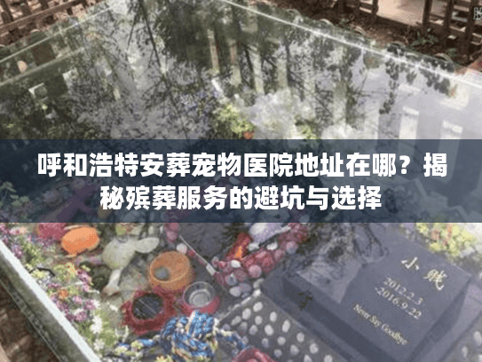 呼和浩特安葬宠物医院地址在哪？揭秘殡葬服务的避坑与选择