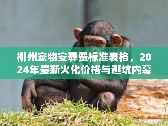 柳州宠物安葬费标准表格,2024年最新火化价格与避坑内幕 柳州宠物安葬费标准表格,2024年最新火化价格与避坑内幕