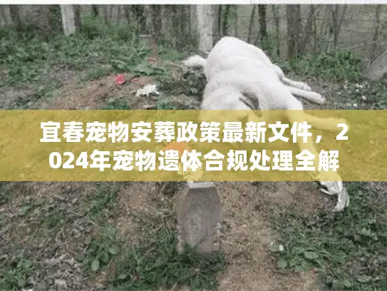 宜春宠物安葬政策最新文件,2024年宠物遗体合规处理全解 宜春宠物安葬政策最新文件,2024年宠物遗体合规处理全解