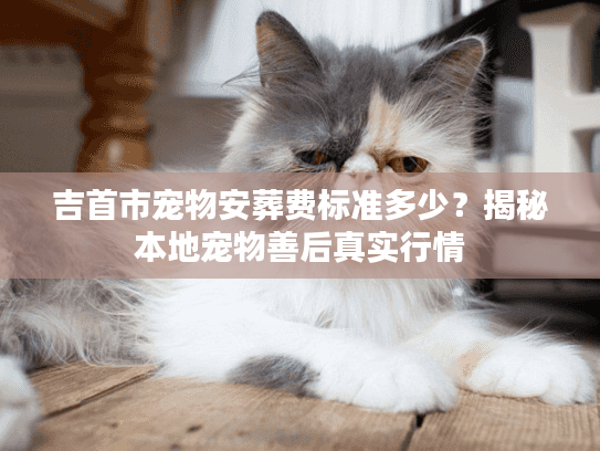 吉首市宠物安葬费标准多少？揭秘本地宠物善后真实行情