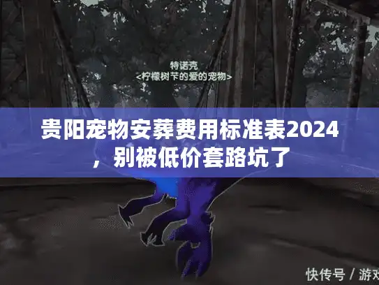贵阳宠物安葬费用标准表2024，别被低价套路坑了