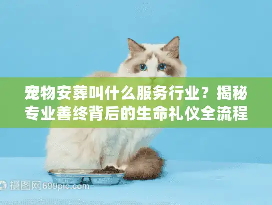 宠物安葬叫什么服务行业？揭秘专业善终背后的生命礼仪全流程